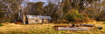 McNamara's Hut - VIC (PBBH3 00 34354)